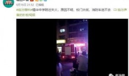 去哪看内鬼爆料视频啊,内鬼爆料视频观看指南